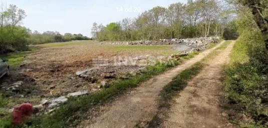 Rovinj, agricultural land 10038 m2