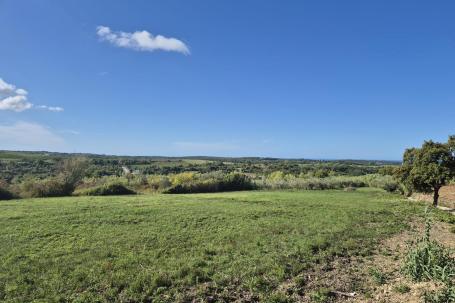 Istra, Buje - građevinsko zemljište 1032 m2 na odličnoj lokaciji