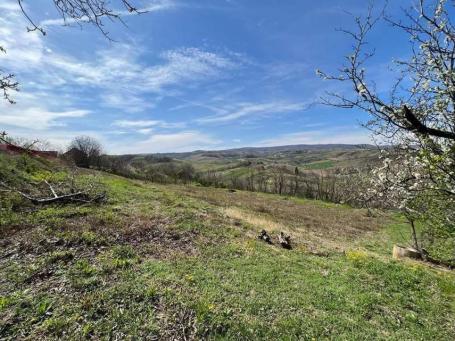 Poljoprivredno zemljište u Sremskim Karlovcima