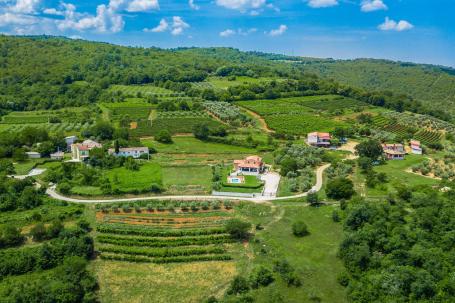 Istra, Rakotule -  zemljište 10100m2, T2 namjene, đelom građevinsko, pogled na Motovun