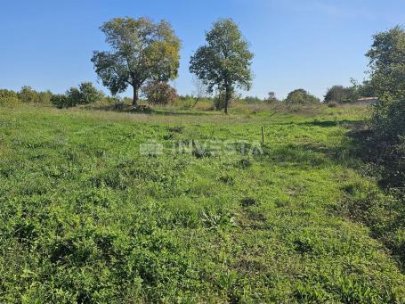 Vodnjan, surroundings - five building plots with a project for house construction