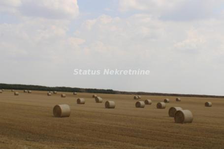 Čenej - građevinsko zemljište 24073m2