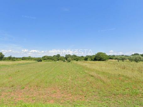 Land near Manjadvorci, ideal for olives and vineyard