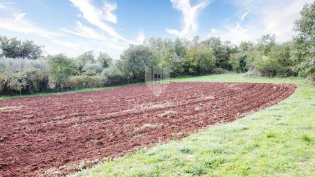 Poreč, okolica, prostrano zemljište na rubu građevinske zone