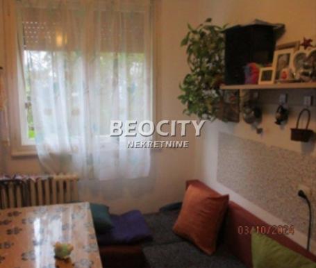 Novi Sad, Detelinara, , 1. 0, 35m2, 65000EUR