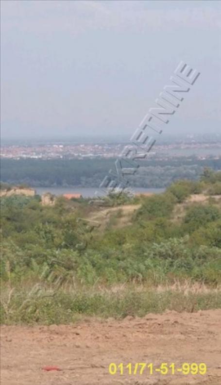 plac Višnjička banja, Nedeljka Košanina, 4, 7 ara