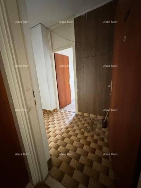 House Apartment Vidikovac