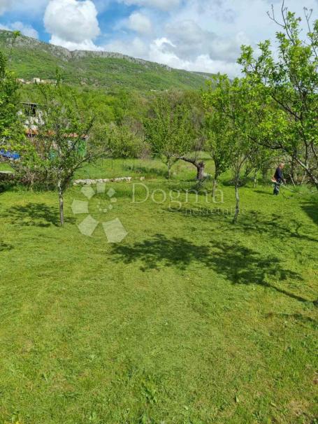 Land Grižane-Belgrad, Vinodolska Općina, 350m2