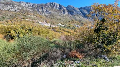 Plac 5343m2 sa pogledom na more Tudorovići, Budva. 