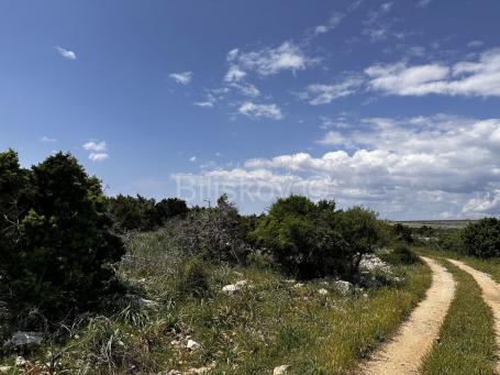 Prodaja, poljoprivredno zemljište, otok Pag 83.000 m2