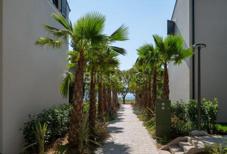 Prodaja, Sv Filip i Jakov, Molum hotel&residences