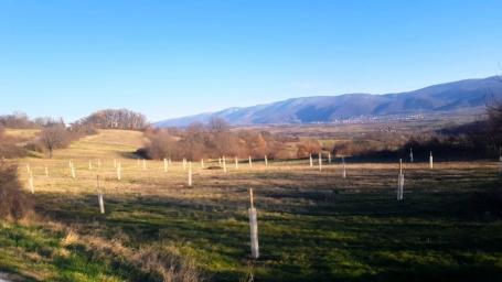 Sokobanja, Vrmdza, građevinsko zemljište, 30, 5a, uknj.