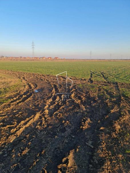 Zemun- Batajnica, građevinsko zemljište ID#9955
