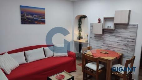 CENTAR-BRANKOVA, 39M2, PR, EG