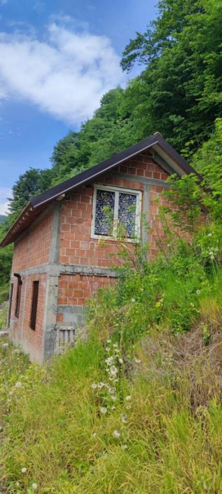 Vikendica pored Drine