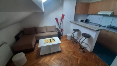 Jednoiposoban namešten stan Centar