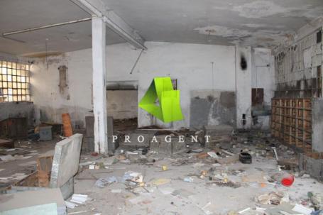Hala u širem centru ID#6288