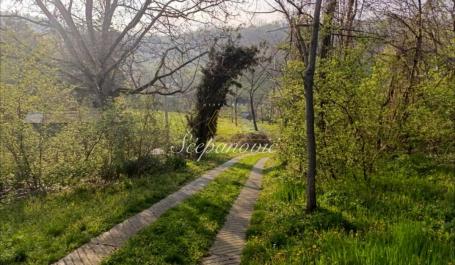 Prodaja, Zemljište, Sremska Kamenica, Mala Kamenica