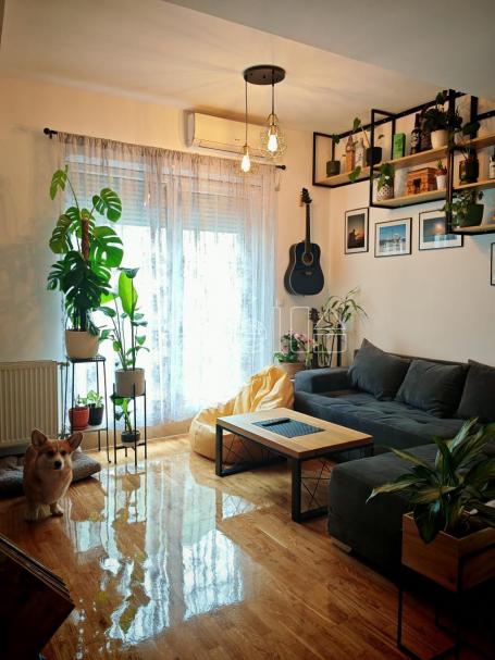 NOVI SAD - GRBAVICA - 50. 00 m2