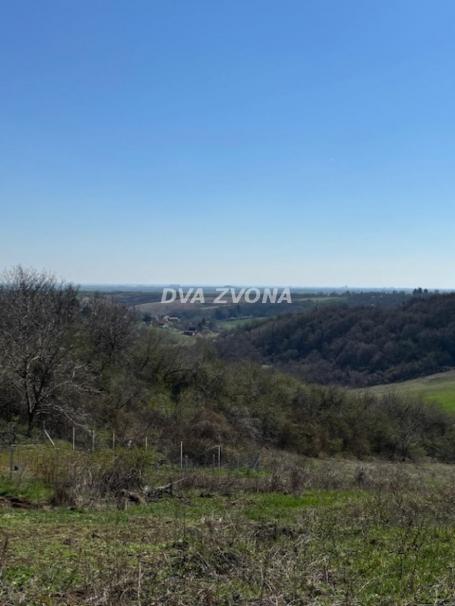 Plac Čortanovci-Izuzetna prilika – samo 21. 500 € za 22 ara uz asfalt!