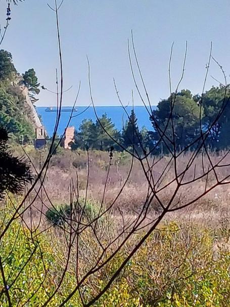 Plac 901 m2 u Sutomoru u naselju Bjelisi