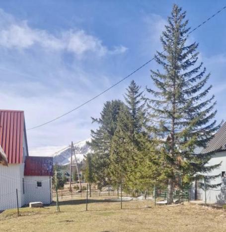 Kuća na Žabljaku na placu od 1. 000 m2 u blizini centra!