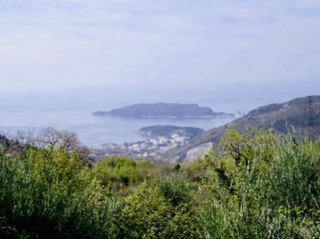 Plac 422 m2 sa pogledom na more u Stanišićima