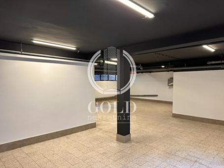 Odličan, renoviran poslovni prostor 190+36m2 ID#9668