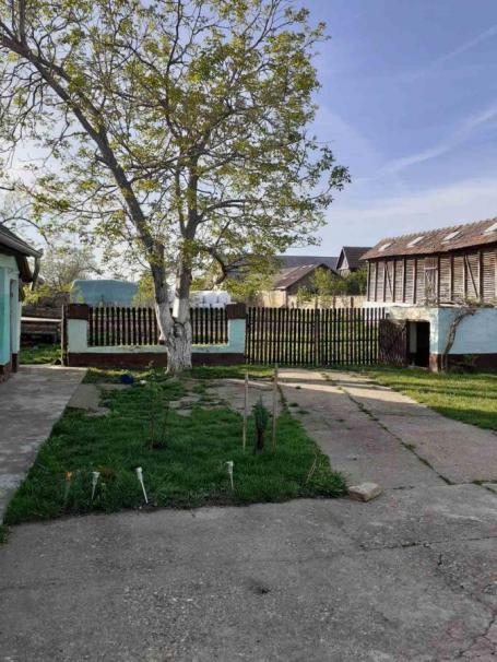 Seoska kuća sa dvorištem, Čurug, Nikole Pašiċa