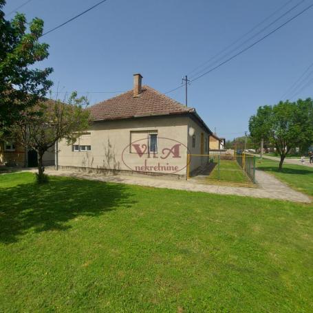 Srbobran, Odlična kuća u oazi zelenila