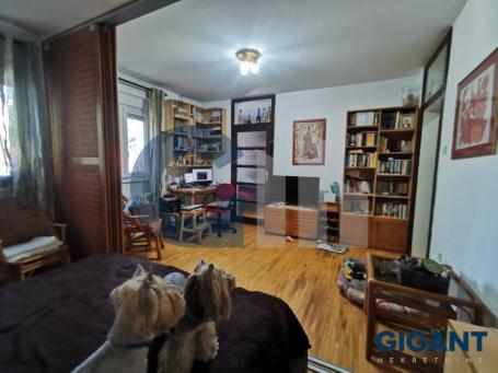 ZEMUN-ŠILEROVA, 39M2, I, CG,