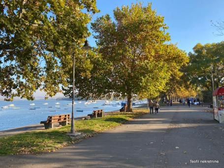 ZEMUN ZEMUN 35m2 , 500e