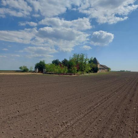Srbobran, Prelep komforan salaš na 4. 34 k jutra zemlje pored asfaltnog puta