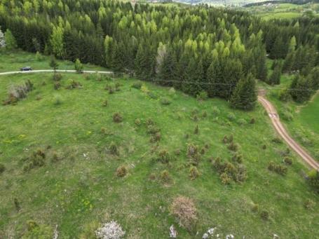 Prodaje se poljoprivredno zemljište 994 m2, Komarani, Nova Varoš