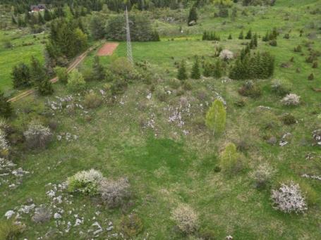 Prodaje se poljoprivredno zemljište 3143 m2, Komarani, Nova Varoš