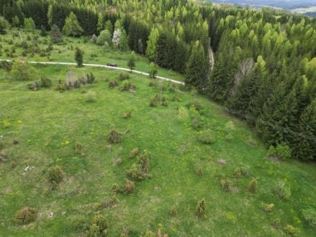 Prodaje se poljoprivredno zemljište 17746 m2, Komarani, Nova Varoš