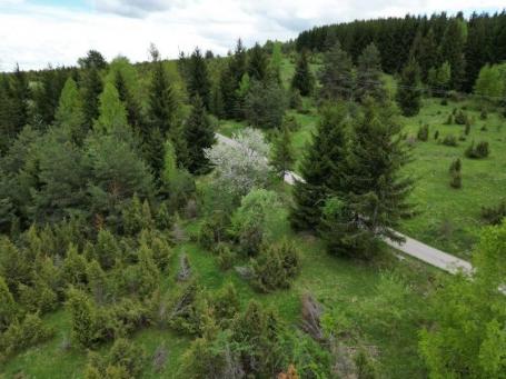 Prodaje se poljoprivredno zemljište 3625 m2, Komarani, Nova Varoš
