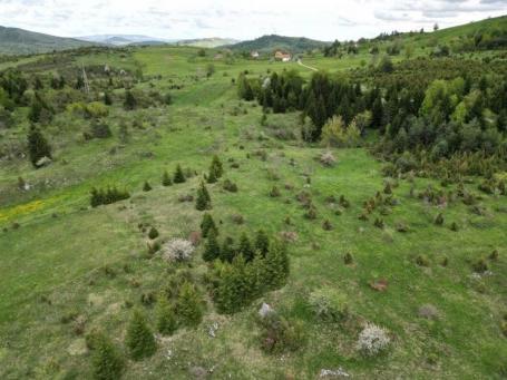 Prodaje se poljoprivredno zemljište 4648 m2, Komarani, Nova Varoš