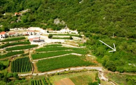 Plac pored vinarije