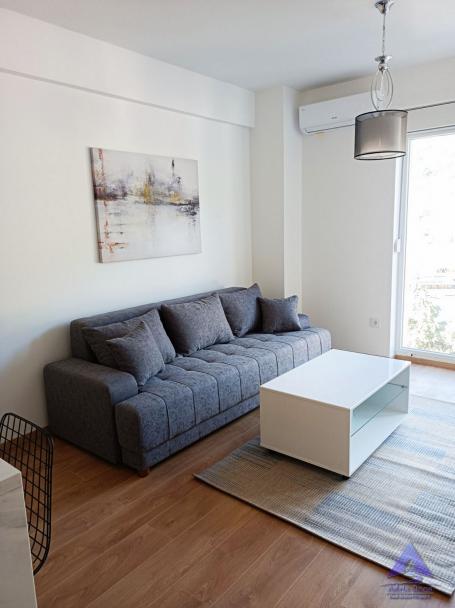 Izdavanje, Stan, 42m2 , Rozino