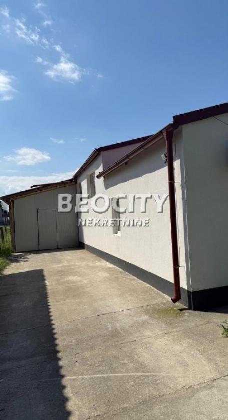 Novi Sad, Veternik, , 1. 0, 300m2, 1000EUR