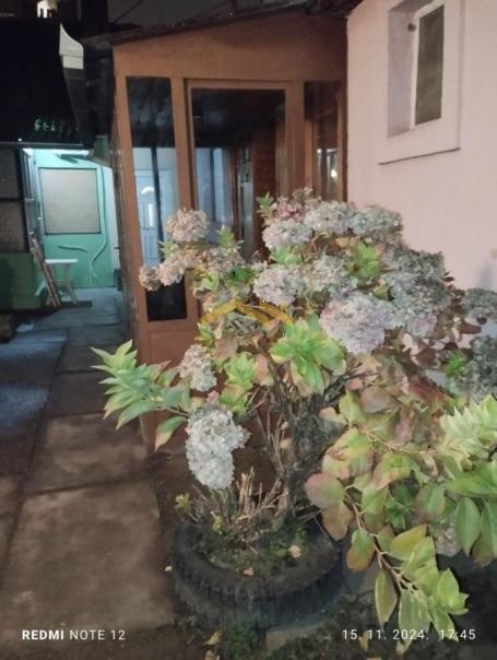 HITNO! DVORIŠNA KUĆA NA SALAJCI – NEPONOVLJIVA CENA ZA OVU LOKACIJU!