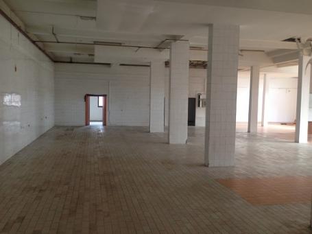 ZEMUN ALTINA 550m2 , 1750e