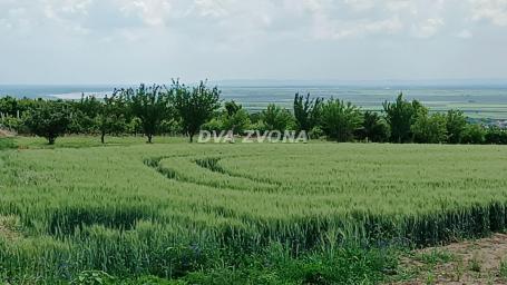 Na prodaju plac 1. 36 ha – Stari Slankamen, pogled na Srem, građevinsko zemljište uz asfalt! SAMO KO