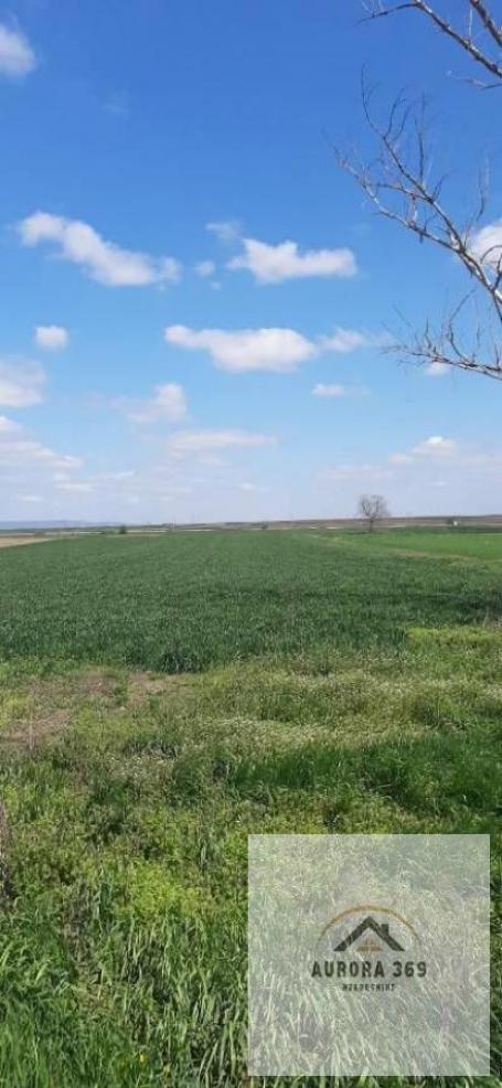 RETKO! GRAĐEVINSKO ZEMLJIŠTE 1, 86ha, ODLIČNA LOKACIJA
