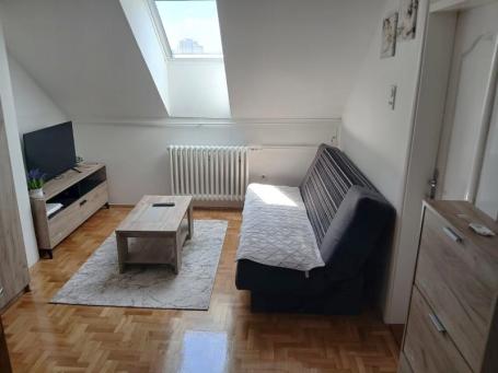 Novi Sad, na odličnom mestu, sam početak Grbavice u blizini Bulevara oslobođenja izdaje se manja, ko