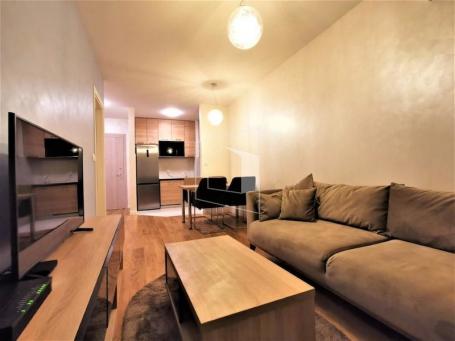 Jednosoban lijepo namješten stan, 40m2, Central Point, Podgorica