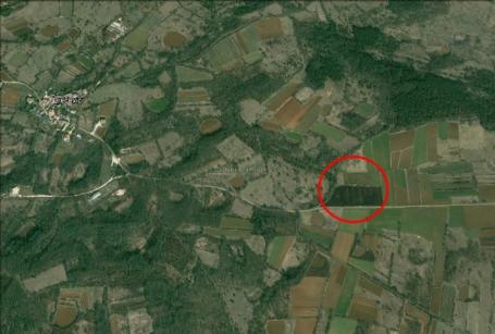 Tinjan, Istra - Poljoprivredno, 5472 M2