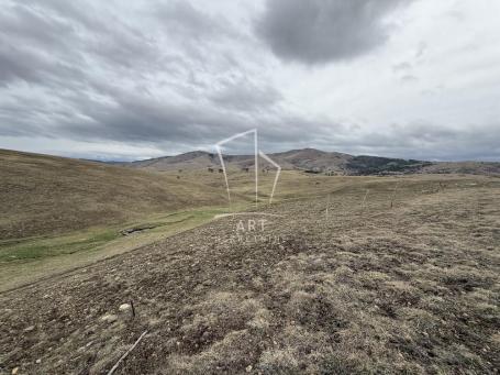 Plac, Zlatibor , Velanski gaj ID#10481