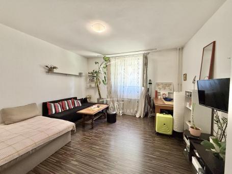 Renovirana garsonjera na Kanarevom brdu – odlična investicija ID#11410